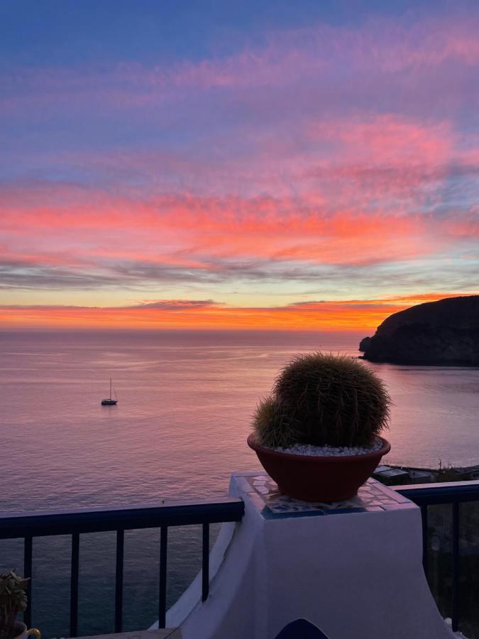 Hotel Villa Maria Sant'Angelo  エクステリア 写真