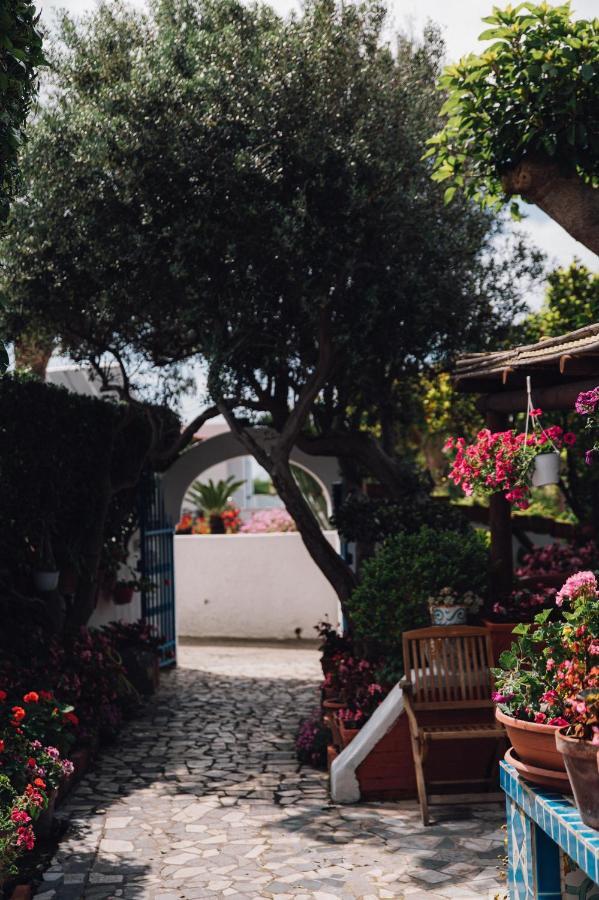 Hotel Villa Maria Sant'Angelo  エクステリア 写真