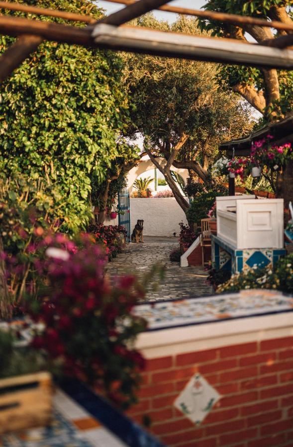 Hotel Villa Maria Sant'Angelo  エクステリア 写真
