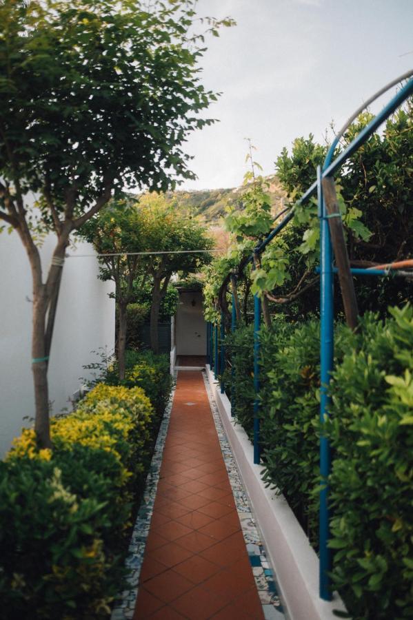 Hotel Villa Maria Sant'Angelo  エクステリア 写真