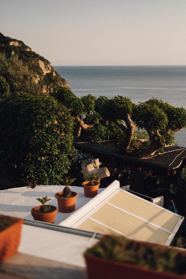 Hotel Villa Maria Sant'Angelo  エクステリア 写真